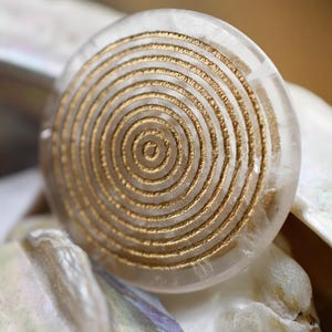 May include: A clear, circular decorative item featuring a gold spiral pattern. The gold spiral is etched into the clear surface, creating a textured effect. The item rests on a surface of white and iridescent material.