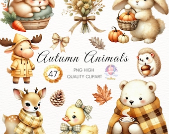 Autumn Animals Clipart, Cozy Woodland PNG Graphics (47 Files)