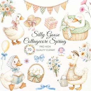 Silly goose clipart,Spring Vintage Cottagecore,Watercolor goose png,Birthday Party,Wildflowers,Balloons,Baby Shower Invitations,Nursery Art