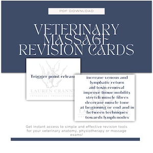 Fiches de révision des massages vétérinaires - équins et canins