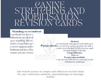 May include: A blue and white graphic with the text "Canine Stretching and Mobilisation Revision Cards". The graphic also includes text about standing vs recumbent methods for stretching and mobilising dogs, as well as a description of the psoas stretch.