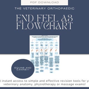 Diagramma di flusso di revisione della fisioterapia veterinaria per equini e cani - Diagramma di flusso End Feel A3