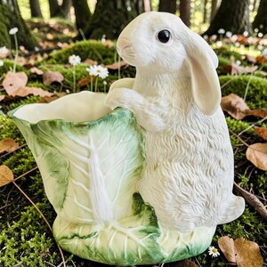 May include: A ceramic planter shaped like a white rabbit with long ears and a pink nose, standing beside a large, textured green and white cabbage leaf. The rabbit has detailed fur texture and dark eyes, while the cabbage leaf forms the container.