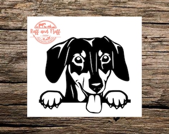 Taxdekal | Weinerhunddekal | Kikarhunddekal | Husdjursdekal | Bildekal