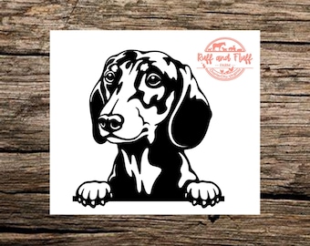 Taxdekal | Weinerhunddekal | Kikarhunddekal | Husdjursdekal | Bildekal