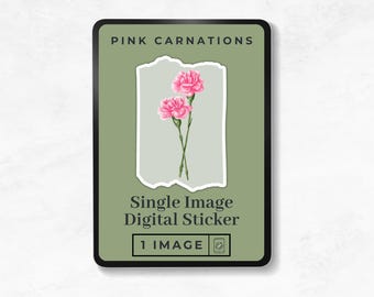 Watercolor Pink Carnations Sticker, Pink Florals, Spring Flowers Stickers, Digital Planner Accessories, Digital Scrapbook, Digital Journal