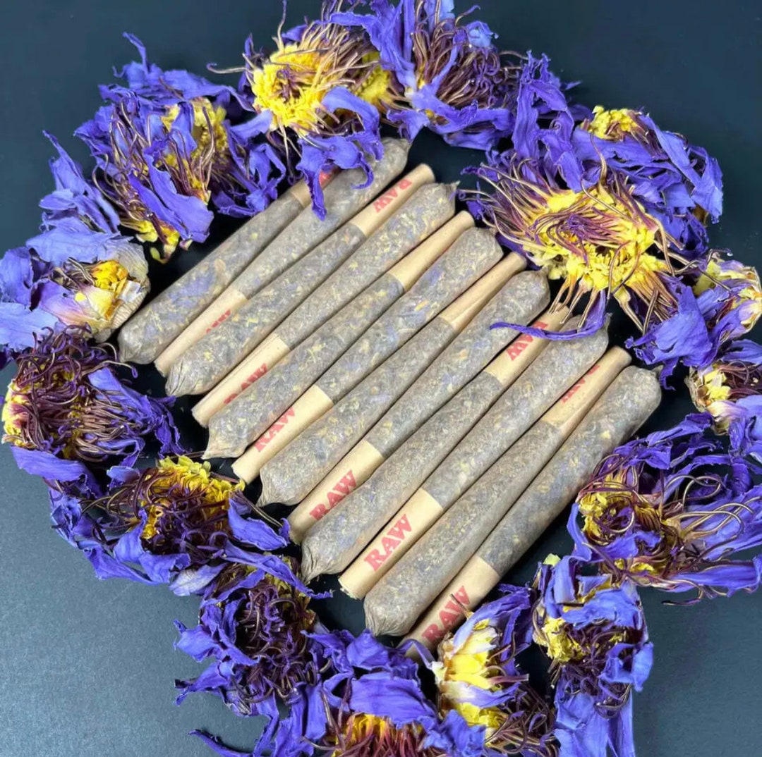 Blue Lotus Flower Prerolls pure Etsy UK