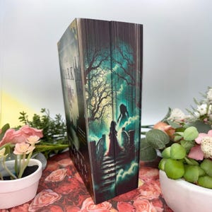 May include: A book with a dark green and black cover featuring a spooky scene with two figures on a bridge. The title of the book is "In the Dark" and the text "A Shadow and Bone Novel" is also visible on the cover.