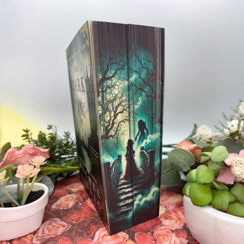 May include: A book with a dark green and black cover featuring a spooky scene with two figures on a bridge. The title of the book is "In the Dark" and the text "A Shadow and Bone Novel" is also visible on the cover.