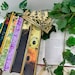 BibliapolisBooks