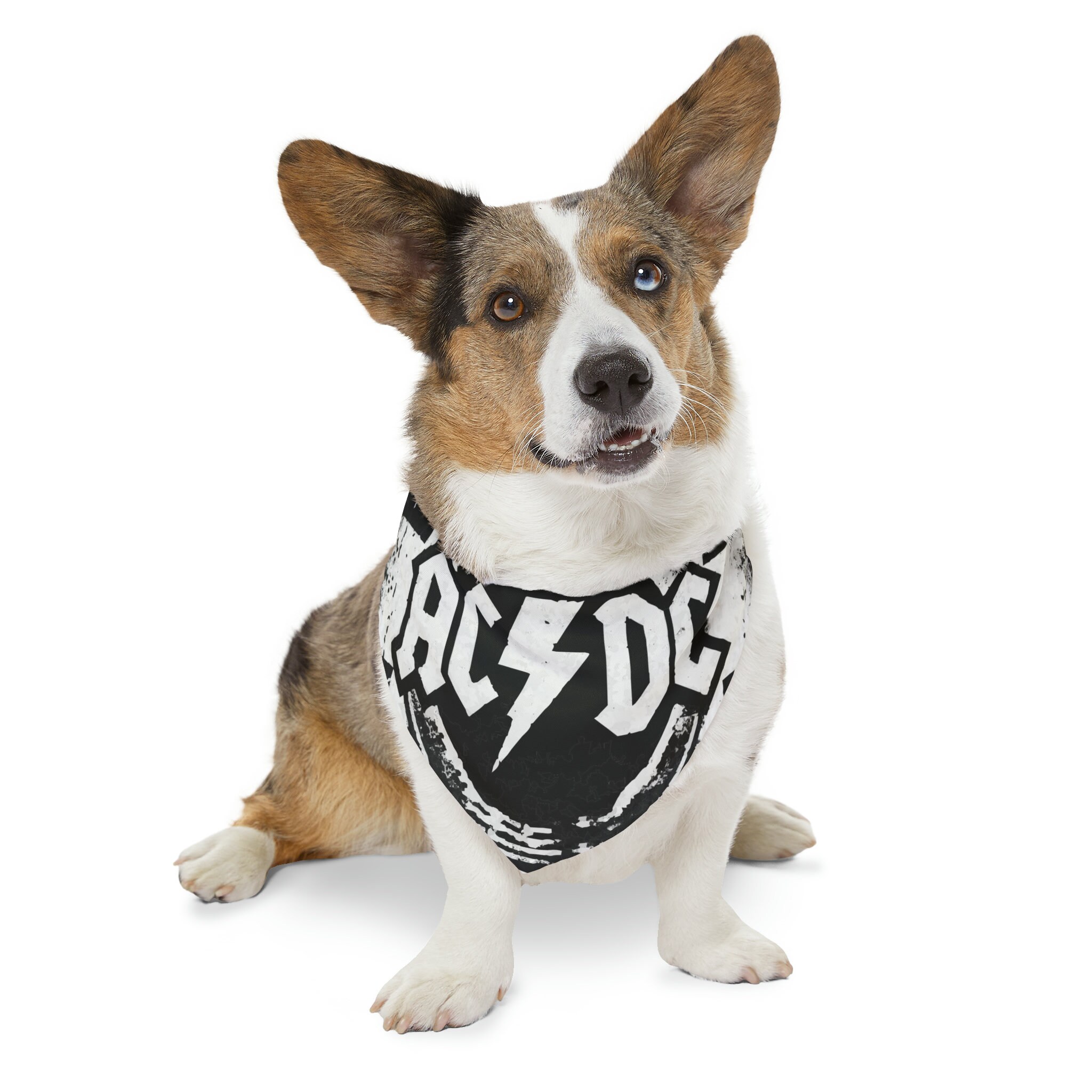 Acdc Dog Collar Etsy