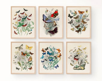 Vintage Schmetterlinge 6er Set MEGA BUNDLE Art Prints, botanische Schmetterlingsdrucke, Schmetterlingsdruck, Schmetterlingsdruck