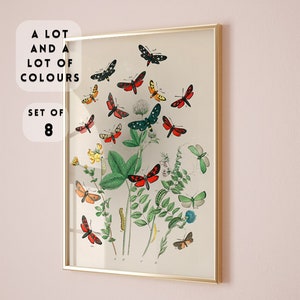 Vintage Butterfly Prints Set of 8 colours,Boho Butterfly Print, Butterfly Poster,Nursery prints,botanical illustrations floral dark academia