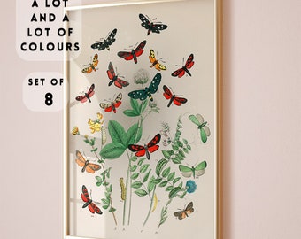 Vintage Butterfly Prints Set of 8 colours,Boho Butterfly Print, Butterfly Poster,Nursery prints,botanical illustrations floral dark academia