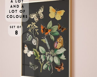 Vintage Butterfly Prints Set of 8 , Butterfly Poster , Nursery Wall Art prints , Botanical Butterfly Illustrations, Cottagecore Nature print