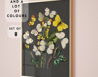 ヴィンテージの黒い蝶のプリント、ボタニカルバタフライプリント、ボタニカルイラスト、コテージコアネイチャープリント、バタフライアート、ボタニカルモス