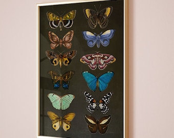 Moths art print, Butterfly print, botanical illustrations, Cottagecore Nature print, butterfly art, black butterfly print,Moths illustration