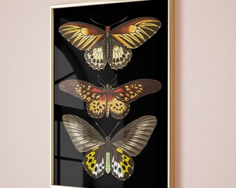 Butterfly print, botanical illustrations, Cottagecore Nature print, cottagecore wall art, vintage poster, Dark Academia Print, Goth Wall Art