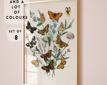 Vintage Butterfly Prints Set of 8 colours, Butterfly Poster, Nursery Wall Art prints,Botanical Butterfly Illustrations, Boho Butterfly Print