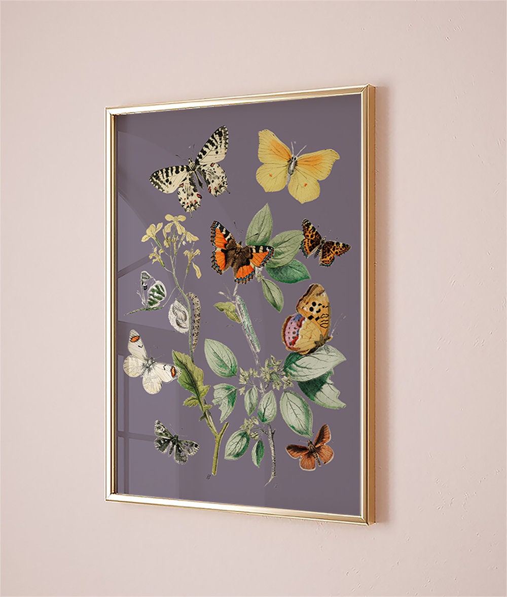 Vintage Butterfly Prints Set of 8 , Butterfly Poster , Nursery Wall Art ...