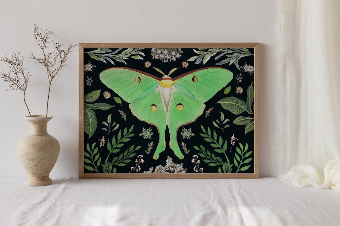 Luna Moth Print , Botanical Gothic Decor , Woodland Luna Moth, Moth ...