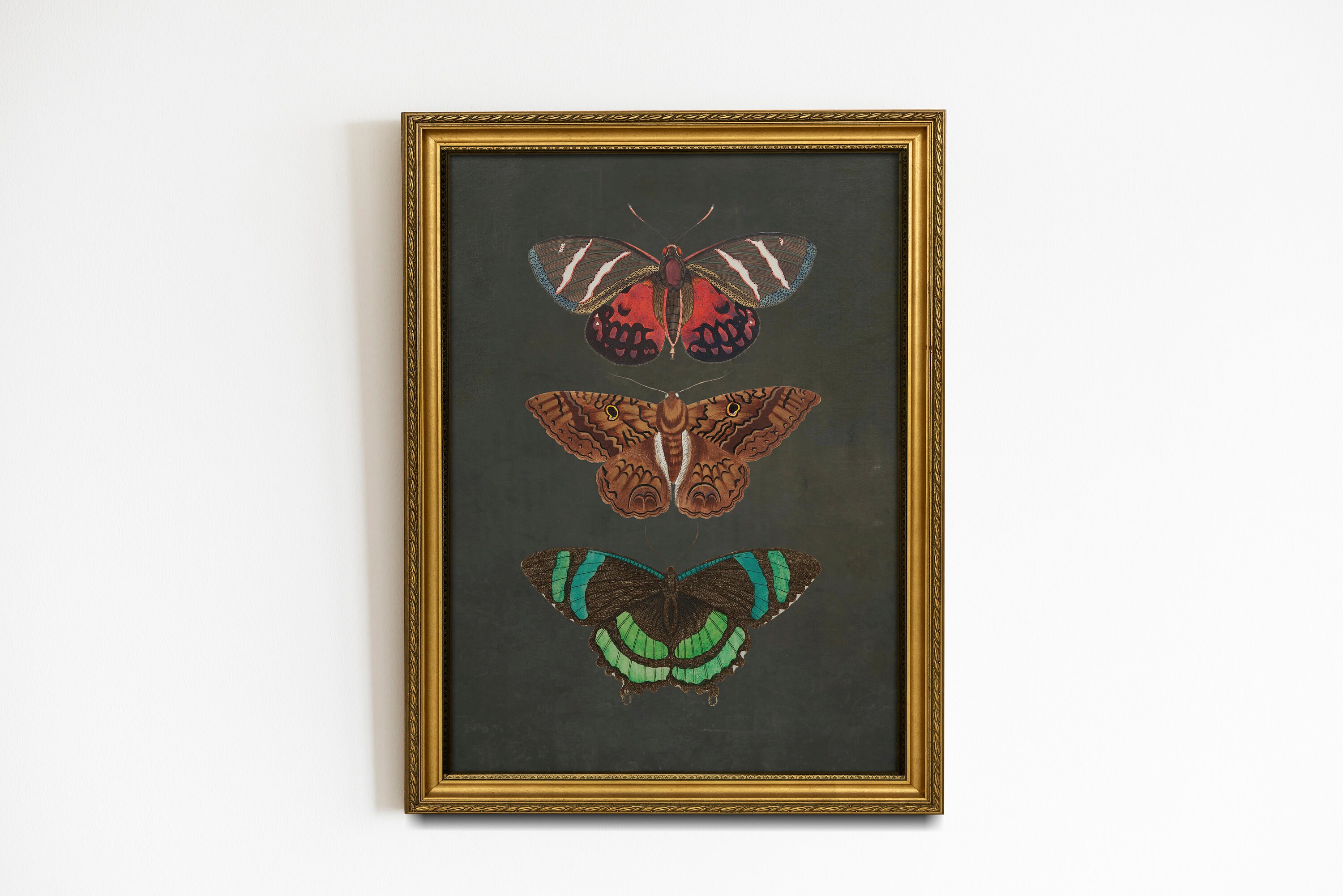 Moths Art Print, Moths Illustration, Dark Academia Print, Goth Wall Art ...