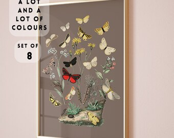 Vintage Butterfly Prints Set of 8 colours , Butterfly Poster, Nursery prints, Boho Butterfly art, Floral Butterfly Art, Boho Butterfly Print