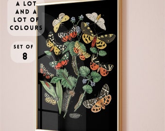 Vintage Butterfly Prints , Butterfly Poster , Nursery Wall Art, Dark Cottagecore Wall Art, botanical butterfly print , floral dark academia