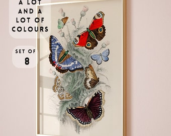 Juego de 8 impresiones vintage de mariposas, póster de mariposas, arte mural para guardería, ilustraciones botánicas, impresión de naturaleza de estilo cottagecore, estilo floral oscuro académico.