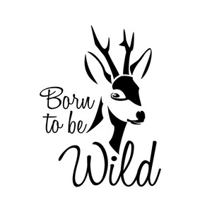 Born to be wild