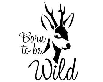 Born to be wild