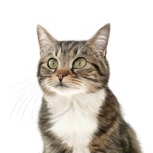 Custom portrait of your cat, watercolor, digital version, paper or canvas