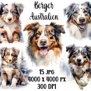 Cliparts Berger Australien, 15 portraits en HD, peinture aquarelle, idéal impression, sublimation , réalisation de carte de voeux