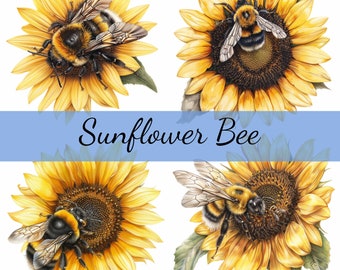 May include: Four watercolor illustrations of sunflowers with bees. The sunflowers have bright yellow petals and dark brown centers. The bees are detailed with black and yellow stripes and translucent wings. The text "Sunflower Bee" is in a blue banner.