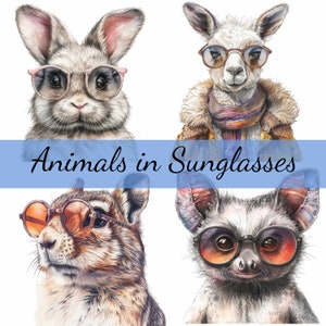 16 Tier trägt Sonnenbrillen, Clipart Bundle, 16 hochwertige JPG, Craft Art, Kartenherstellung, Clip Art, Digitales Papiermodell, Scrapbooking