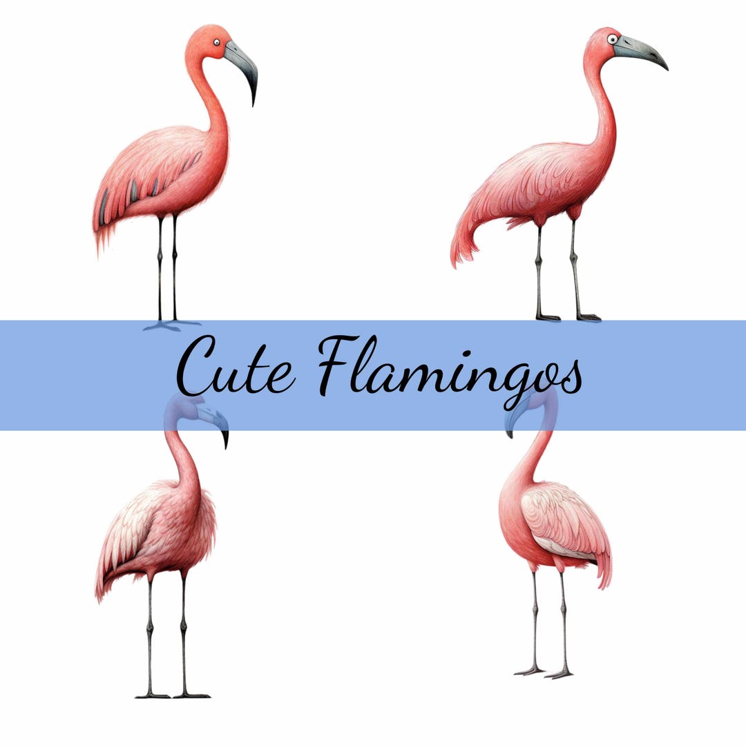 16 Cute Funny Flamingos Clipart Bundle, JPG, Card Making, Clip Art ...