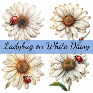 14 Coccinella su fiore di margherita bianca Clipart Bundle, 14 JPG di alta qualità, Artigianato artistico, Creazione di biglietti, Clip Art, Artigianato di carta digitale, Scrapbooking