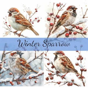 Lot de 16 cliparts de Noël moineau d'hiver, 16 fichiers JPG de haute qualité, création artistique, fabrication de cartes, clipart, créations numériques sur papier, scrapbooking