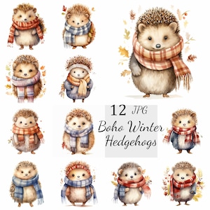 Lot de 12 cliparts hérisson hiver bohème, JPG de haute qualité, oeuvre d'art pour chambre d'enfant, fabrication de cartes, clipart, créations numériques en papier, scrapbooking hérisson JPG