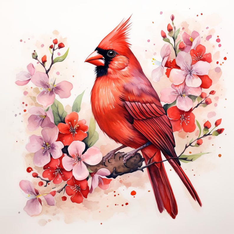 以下が含まれることがあります： ピンクと赤の花が咲いた枝に止まっている赤いカージナルの鳥。鳥は黒い目と黒い嘴をしています。背景はピンクと白の水彩画です。