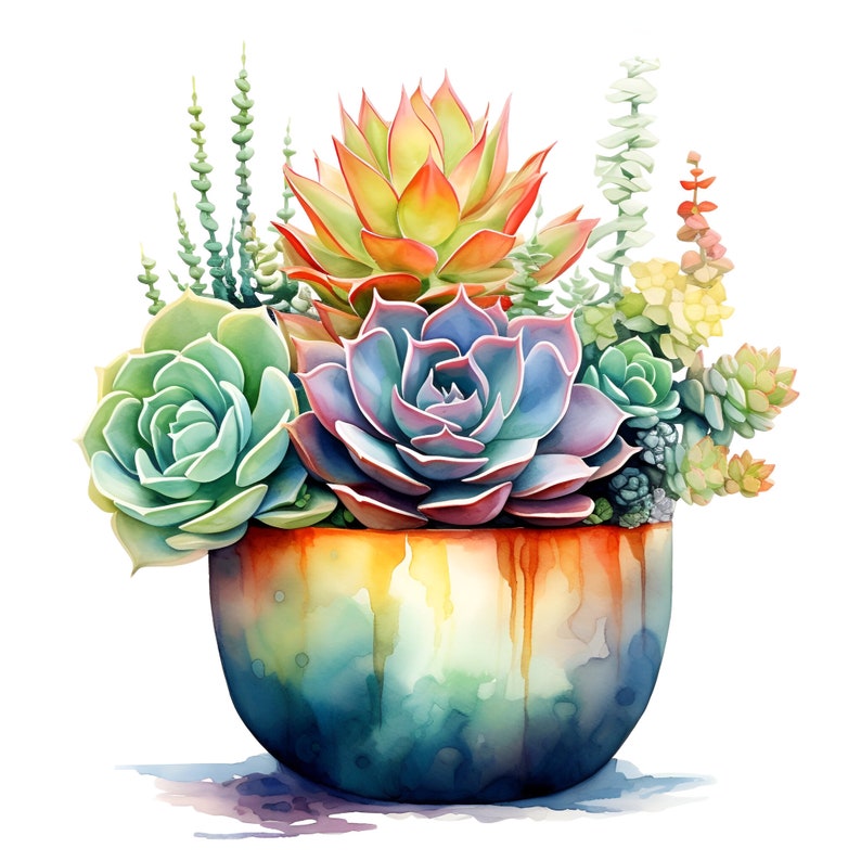May include: A watercolor painting of a colorful succulent arrangement in a blue and orange glazed ceramic pot. The succulents are in shades of green, blue, and red.