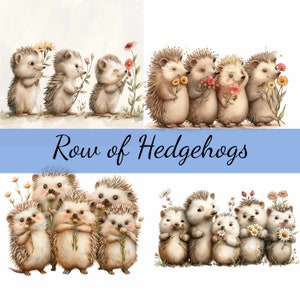 Lot de 15 rangées de hérissons avec fleurs, 15 images JPG de haute qualité, créations artistiques, fabrication de cartes, clipart, créations numériques sur papier, scrapbooking