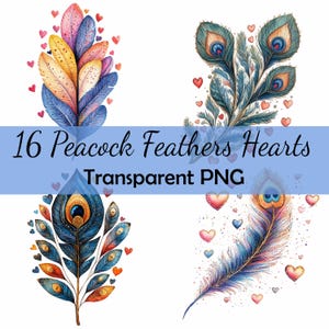 Lot de 15 cliparts coeur plume de paon, téléchargement PNG Transparent, carte, clipart, papier numérique créatif scrapbooking, art populaire, Saint-Valentin