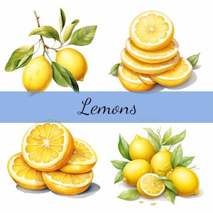 May include: A watercolor illustration of lemons. The image shows a branch with lemons, a pile of sliced lemons, and a group of whole lemons with leaves.