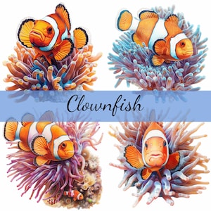 16 peixes-palhaço em um pacote de clipart de peixe-anêmona, 16 JPG de alta qualidade, arte artesanal, criação de cartões, clip art, artesanato em papel digital, scrapbooking