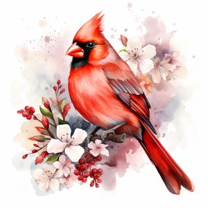 以下が含まれることがあります： ピンクと白の花が咲いた枝に止まっている赤いカージナルの鳥。鳥は黒いマスクと長く尖ったくちばしをしています。背景はピンクと紫の水彩画です。