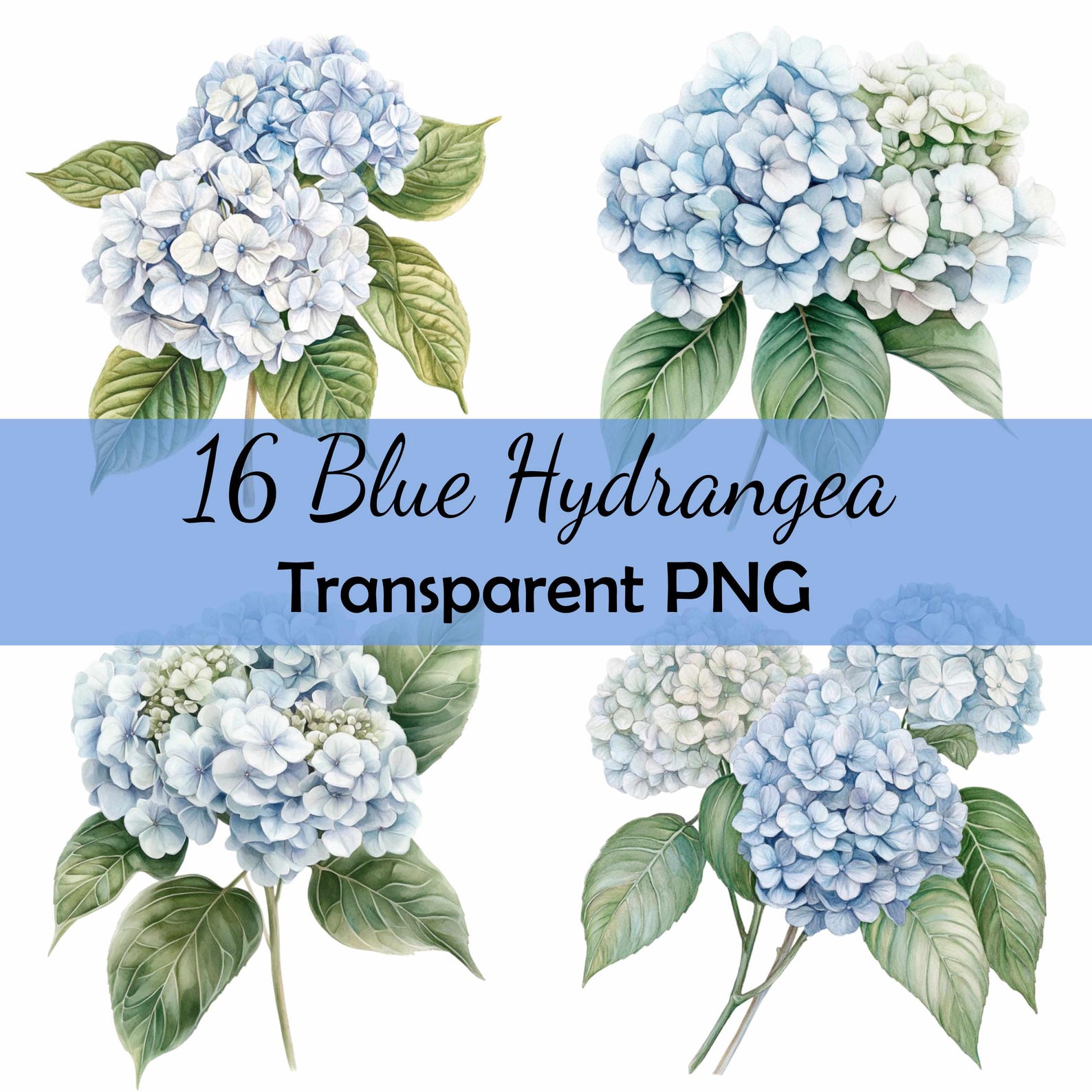 16 Blue Hydrangea Flowers Watercolor Clipart Bundle Transparent PNG ...