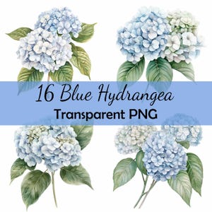 16 Fiori di ortensia blu Acquerello Clipart Bundle PNG trasparente da scaricare, Carta, Clip Art, Carta digitale Scrapbooking Giardino