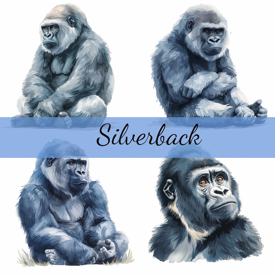 16 Silverback Gorilla Clipart Bundle, 16 High-quality JPG, Craft Art ...