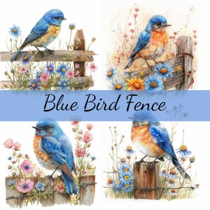 15 Bluebird Bird on a Fence Clipart Bundle, 15 High-Quality JPG, Craft Art, Card Making, Clip Art, Digital Paper Craft, Scrapbooking